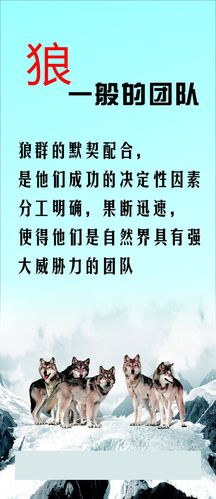 清华大学机械复江南官方体育试名单(清华大学复试录取名单)